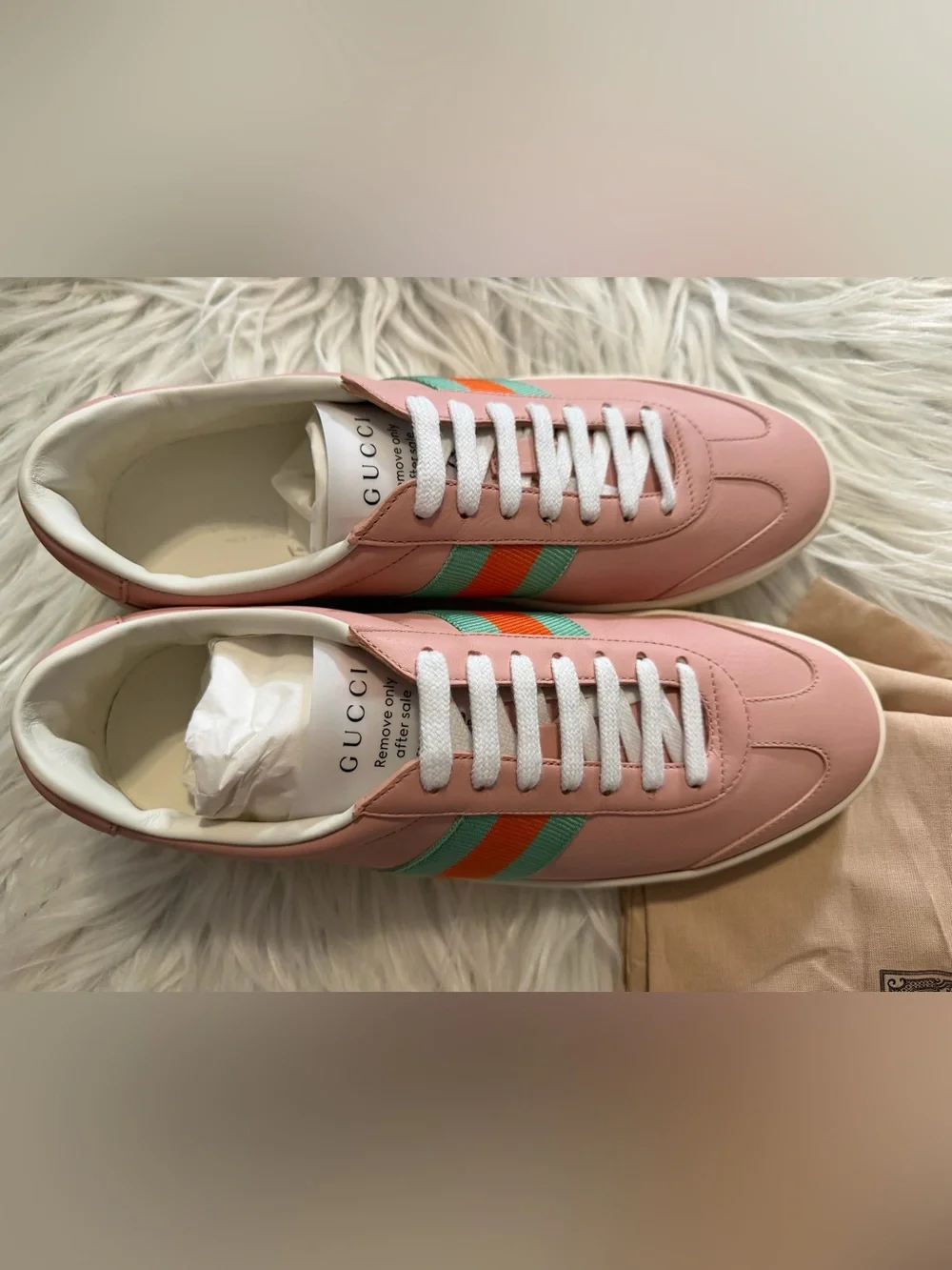 Gucci Low-top Web Sneakers  NIB